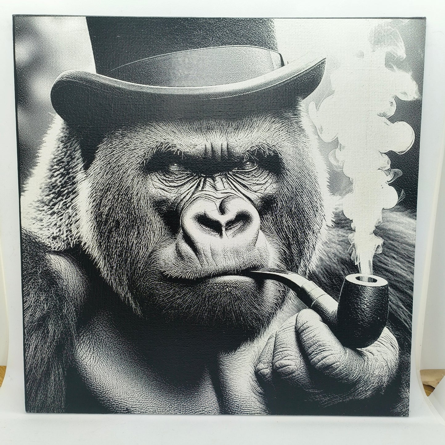 Cadre collection "Primates"