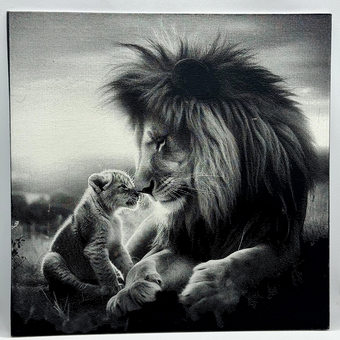 Cadre papa lion et son lionceau.